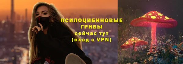 МДПВ Армянск