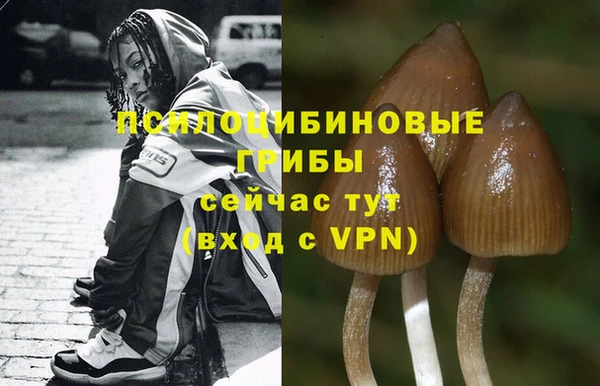 прущий лед Балабаново