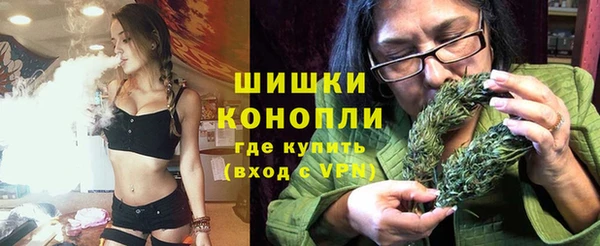ГАЛЛЮЦИНОГЕННЫЕ ГРИБЫ Арсеньев