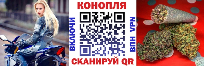 Шишки марихуана сатива Ельня